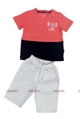 ÁO Thun 4 Chiều Nối Thân R2